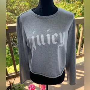 Women’s Juicy Couture Grey Long Sleeves Cropped Pullover Size Large